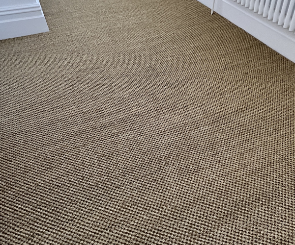 carpet